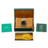 ROLEX GMT-MASTER II 16710 thumbnail
