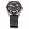 TUDOR BLACK BAY S & G 79733N thumbnail