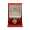 OMEGA SEAMASTER  thumbnail