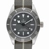 TUDOR BLACK BAY 58 79010SG thumbnail