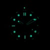 OMEGA SEAMASTER DIVER 300 M 22268000 thumbnail
