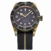 TUDOR BLACK BAY 79250BA thumbnail