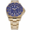 ROLEX SEA-DWELLER DEEPSEA 136668LB thumbnail