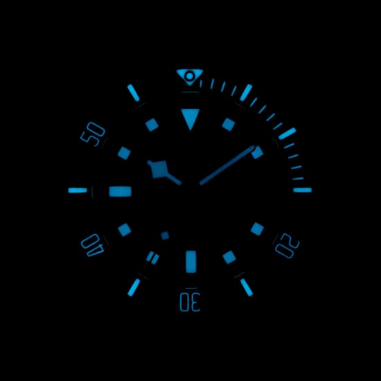 TUDOR PELAGOS 25600TB