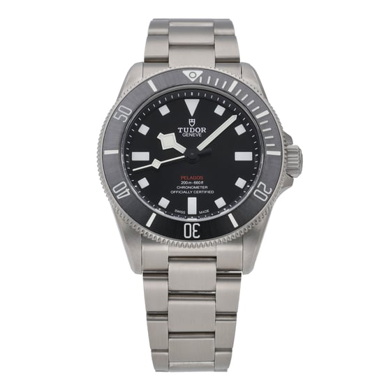 TUDOR PELAGOS 25407N