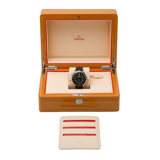 OMEGA SEAMASTER DIVER 300 M 210.22.42.20.01.002