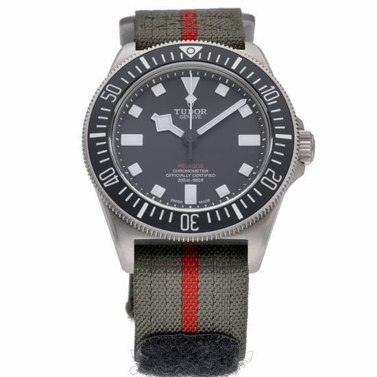 TUDOR PELAGOS FXD 25717N
