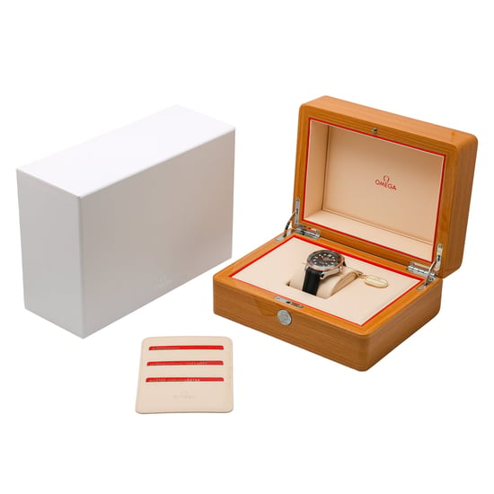 OMEGA SEAMASTER DIVER 300 M 210.22.42.20.01.002