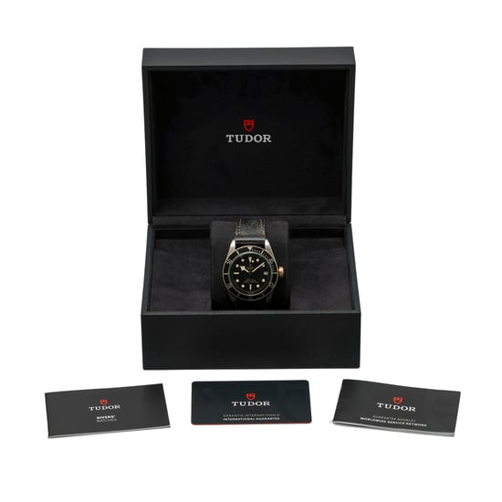 TUDOR BLACK BAY S & G 79733N