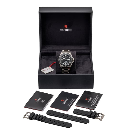 TUDOR PELAGOS 25600TN