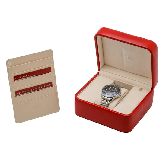 OMEGA SEAMASTER DIVER 300M 22218000