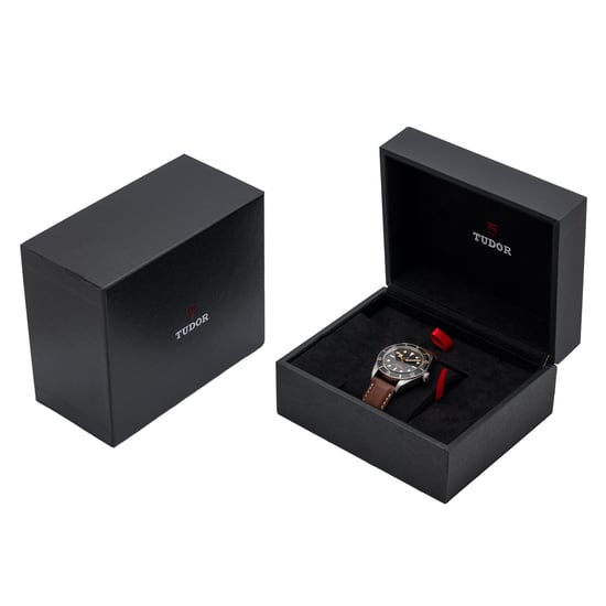 TUDOR BLACK BAY 58 M79030N