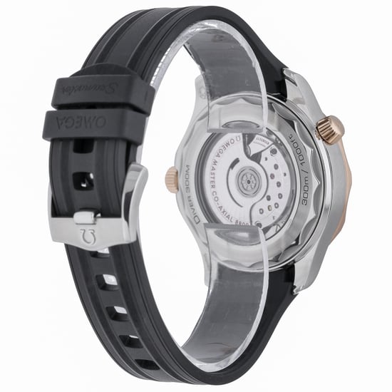 OMEGA SEAMASTER DIVER 300 M 210.22.42.20.01.002