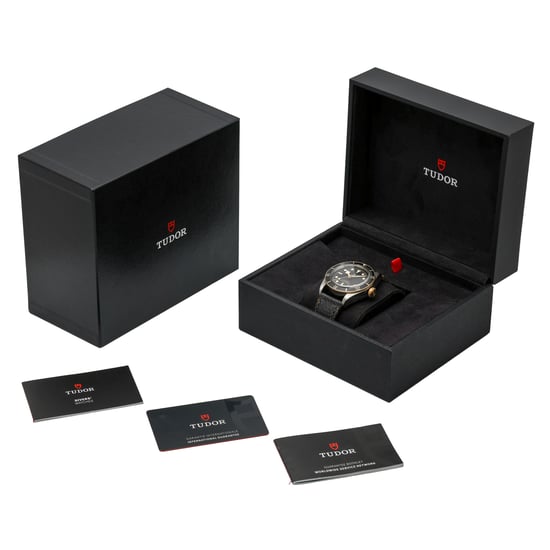 TUDOR BLACK BAY S & G 79733N