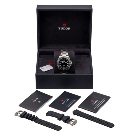 TUDOR PELAGOS 25407N