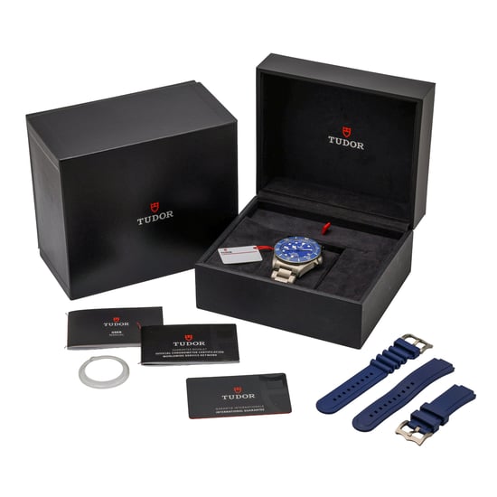 TUDOR PELAGOS 25600TB