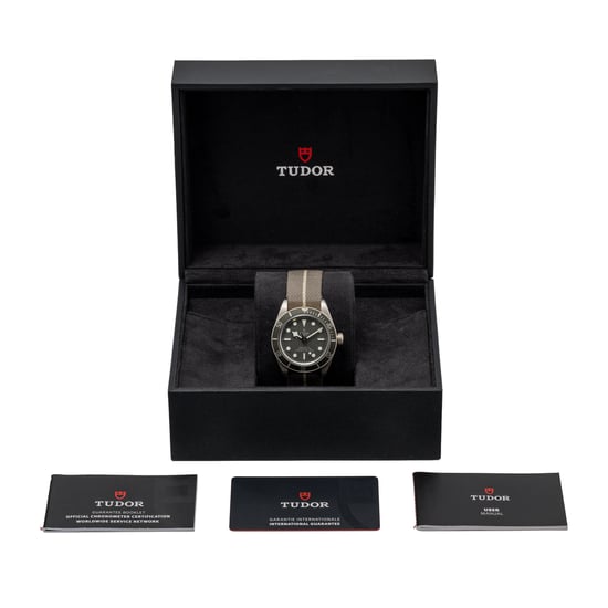 TUDOR BLACK BAY 58 79010SG