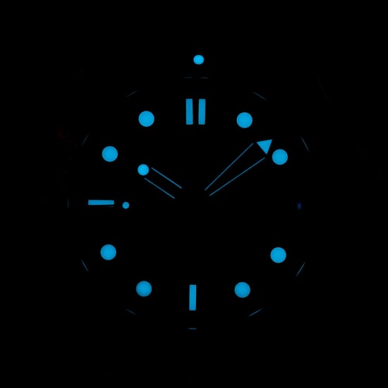 OMEGA SEAMASTER DIVER 300 M 212.30.41.20.01.002