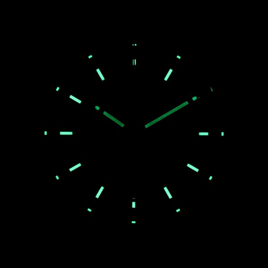 TAG HEUER CARRERA CAR201R